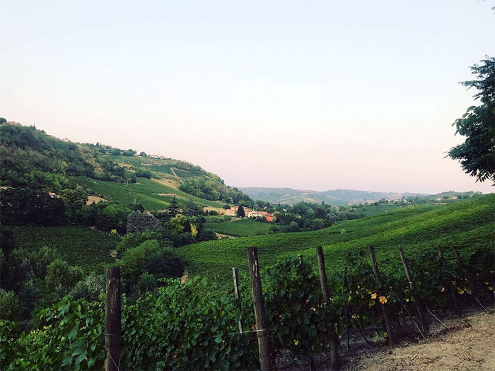 Ca' di Frara