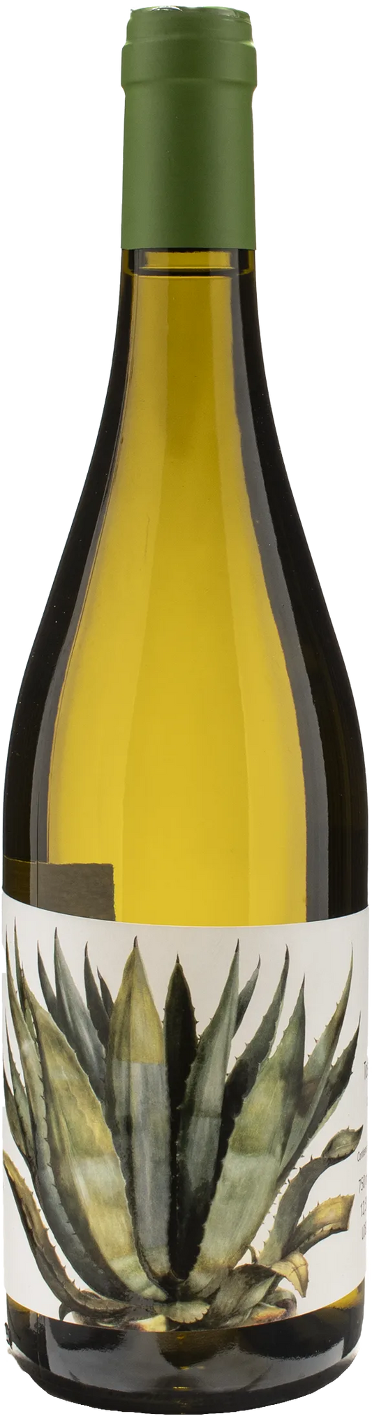 Caccia al Piano Grottaia Vermentino 2023