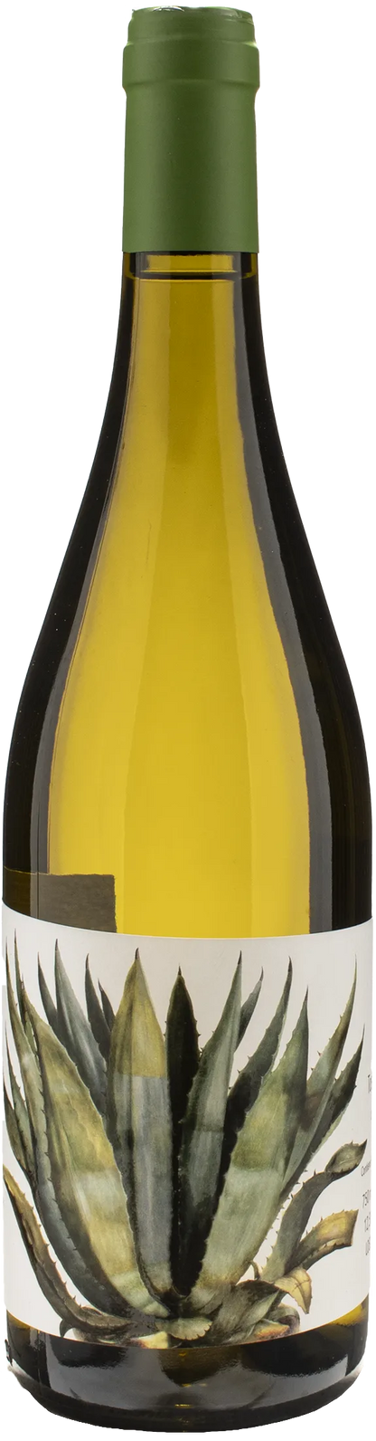 Caccia al Piano Grottaia Vermentino 2023