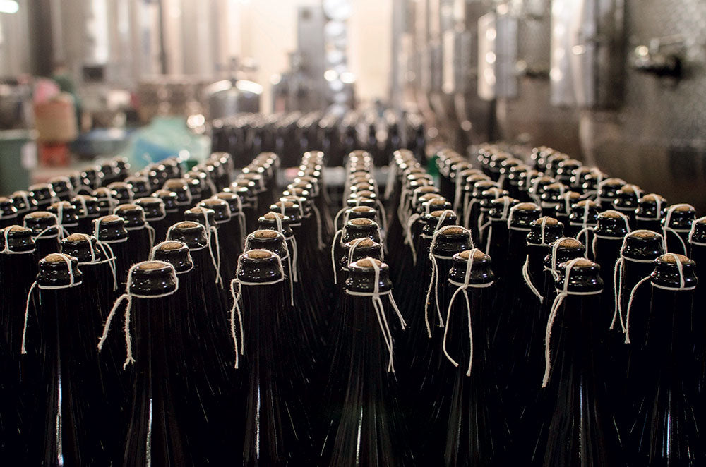Cantina di Carpi e Sorbara