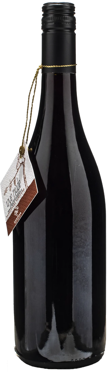 Cantina Forlì Predappio Sangiovese Uve Nude 2024