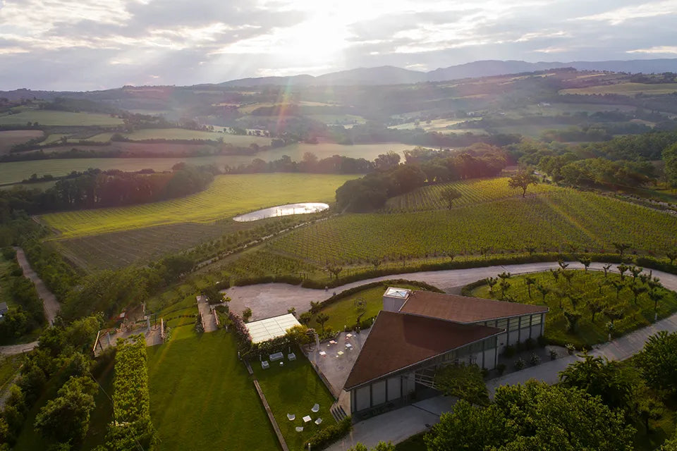 Cantina Roccafiore