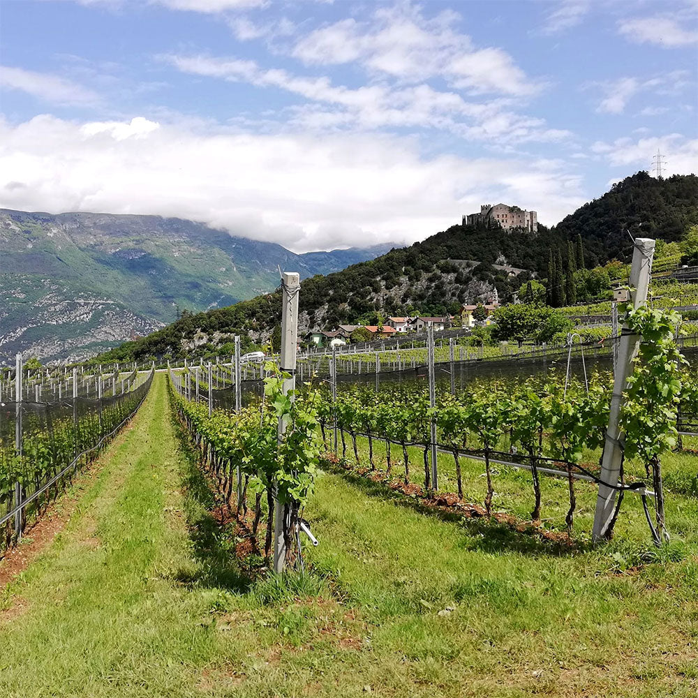 Cantina Toblino