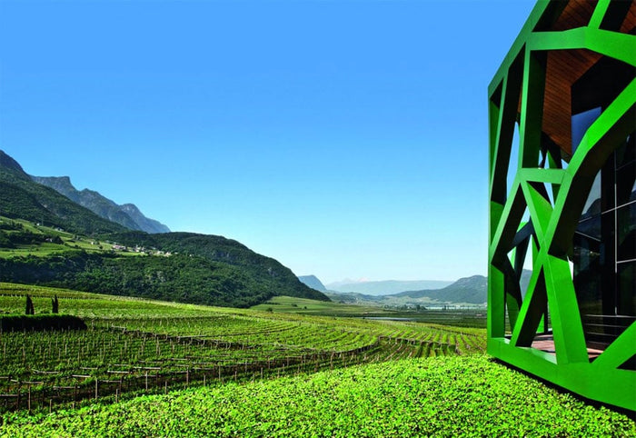 Cantina Tramin