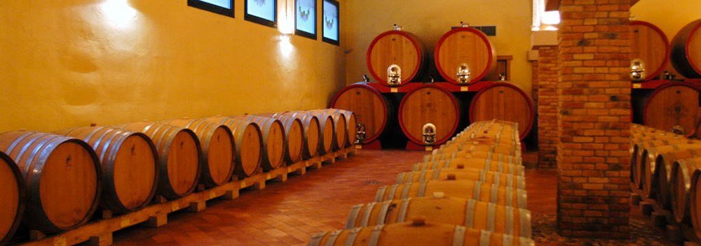 Cantina Valdadige