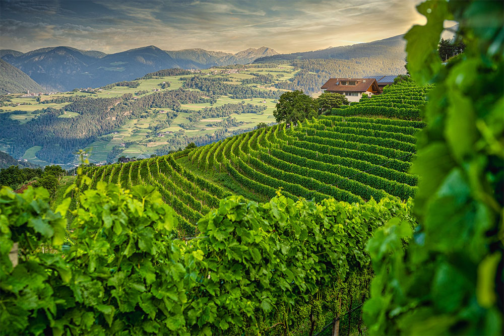 Cantina Valle Isarco
