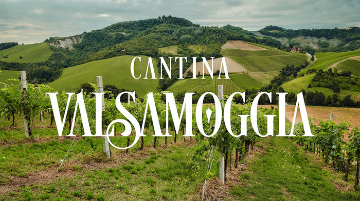 Cantina Valsamoggia (Cantina di Carpi e Sorbara)