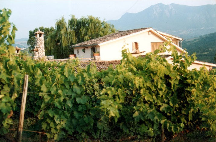 Cantine Caggiano