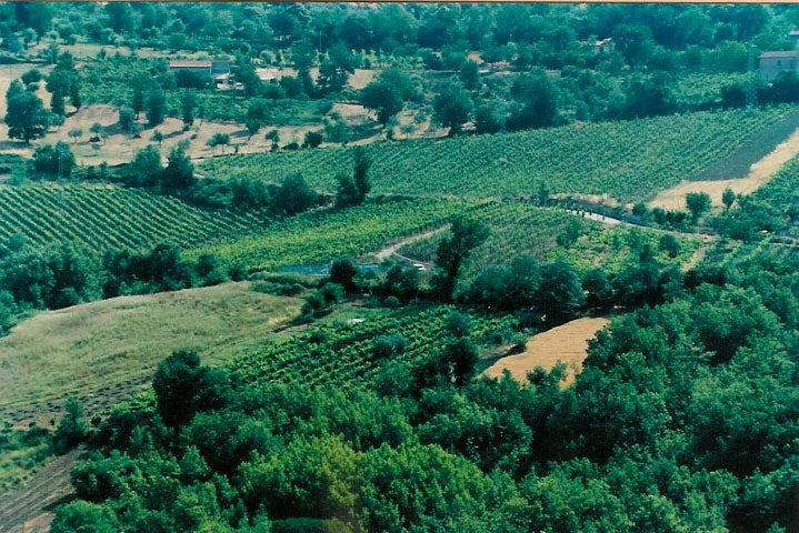 Cantine Caggiano