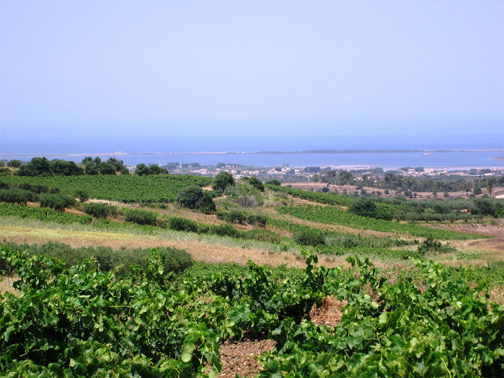 Cantine Paolini