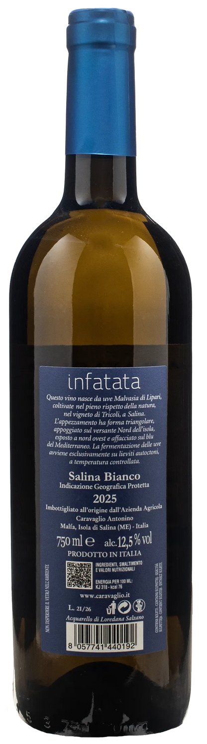 Caravaglio Malvasia Salina Infatata 2025