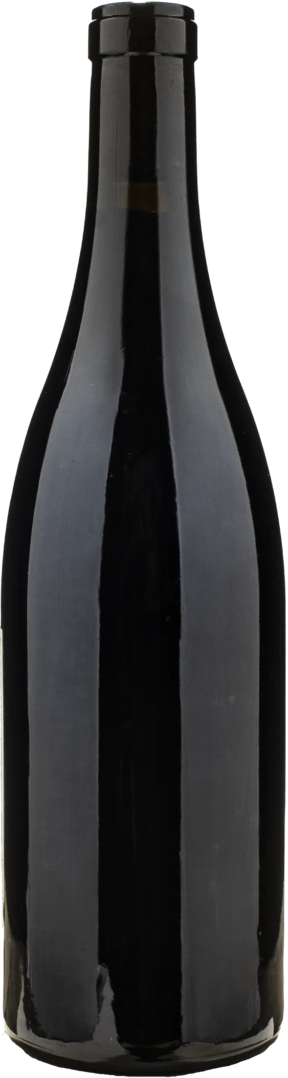 Casa Aurora Clos Pepin 2020