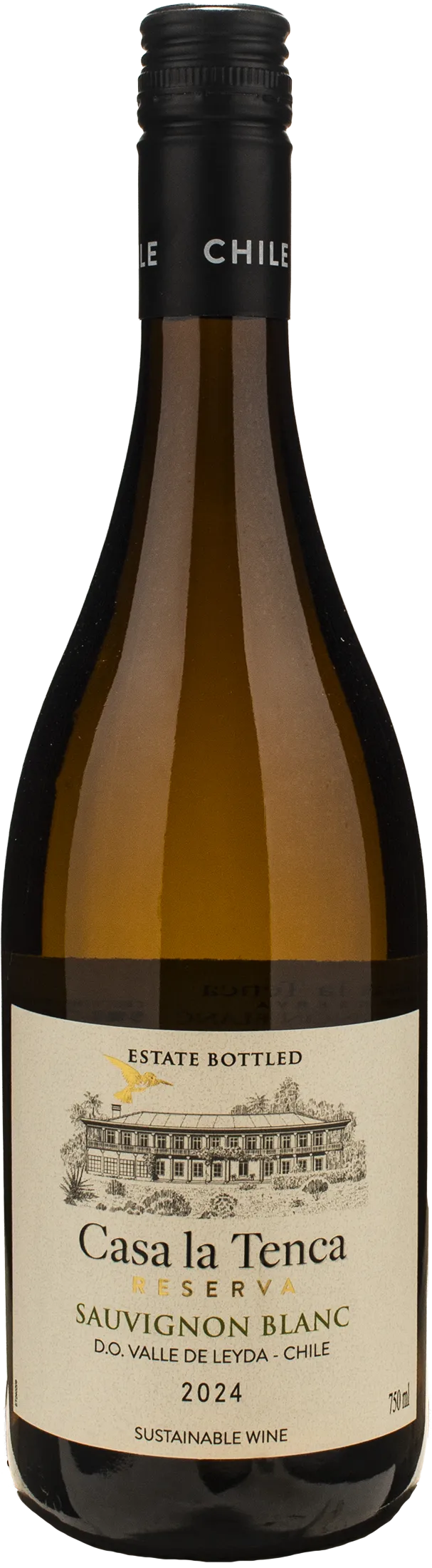 Casa La Tenca Sauvignon Blanc Reserva 2024