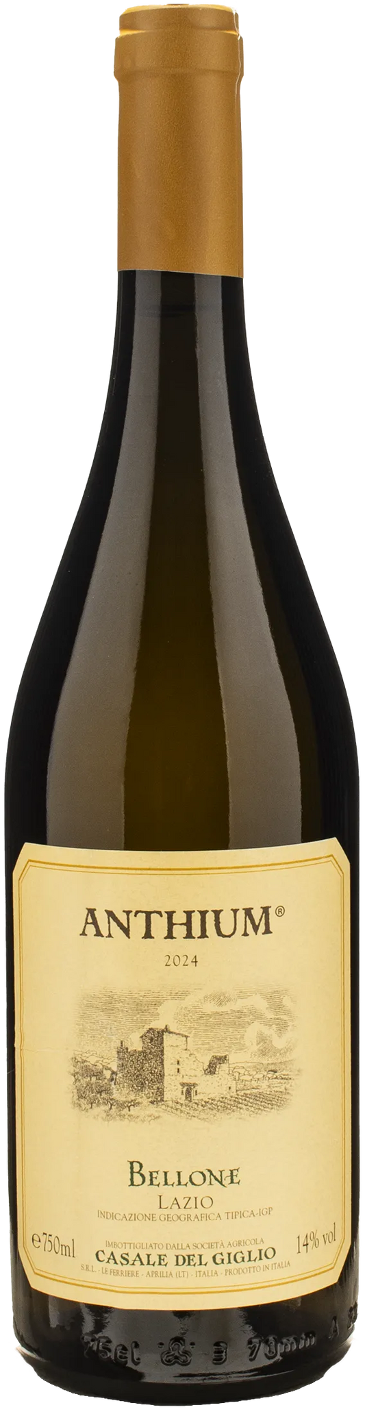 Casale del Giglio Anthium Bellone 2024