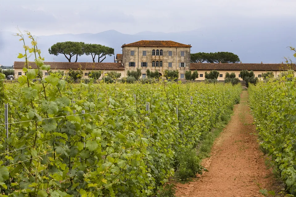 Casale del Giglio