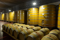 Casanova della Spinetta