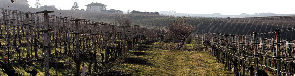 Cascina Carlot Azienda Agricola