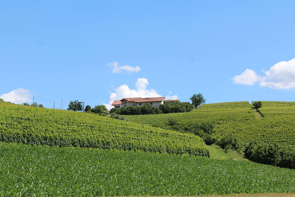 Cascina Carlot Azienda Agricola