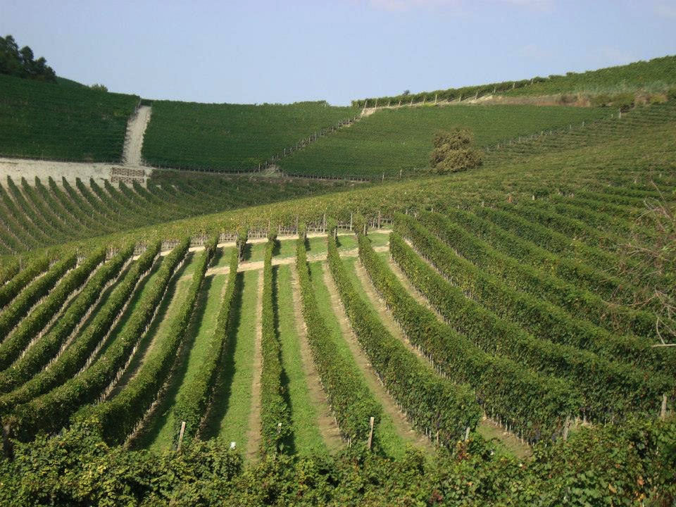 Cascina Fontana