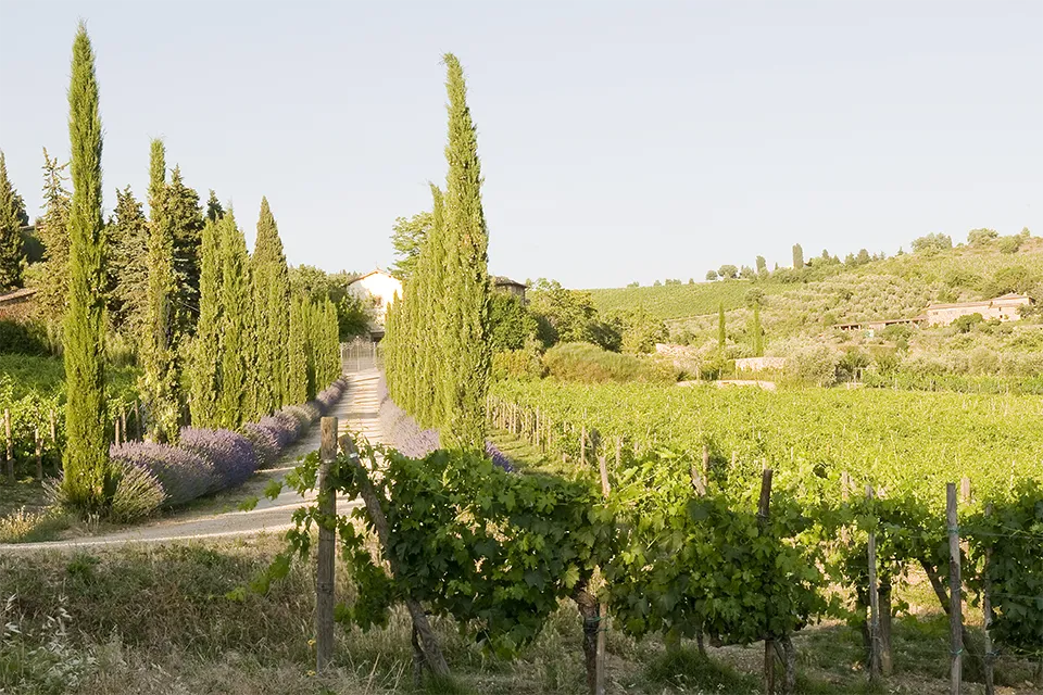 Castellare di Castellina