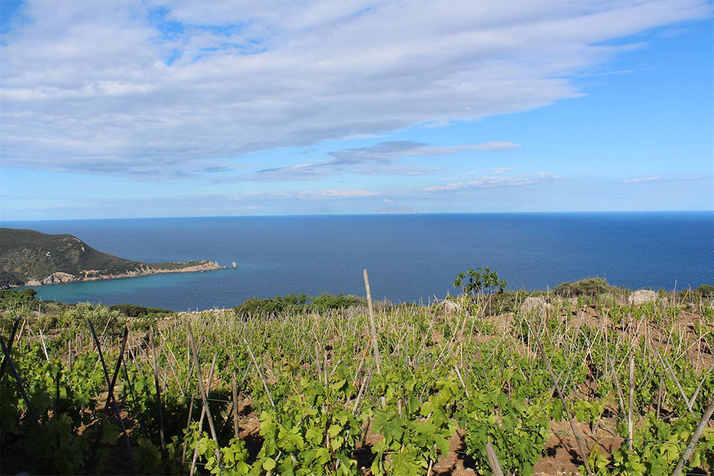 Castellari Isola del Giglio