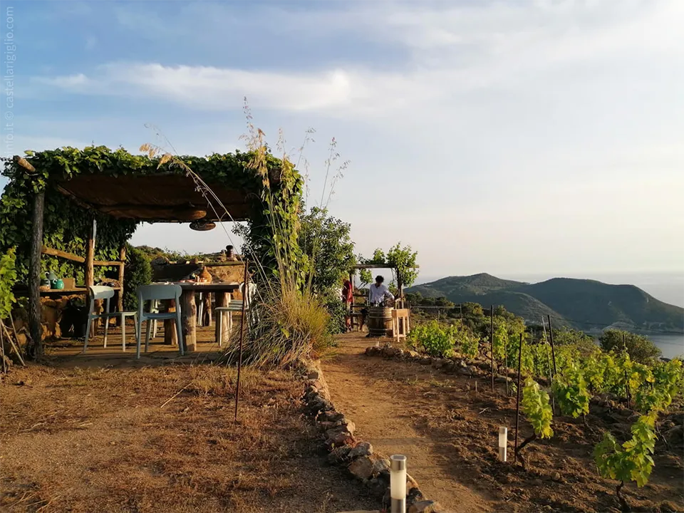 Castellari Isola del Giglio
