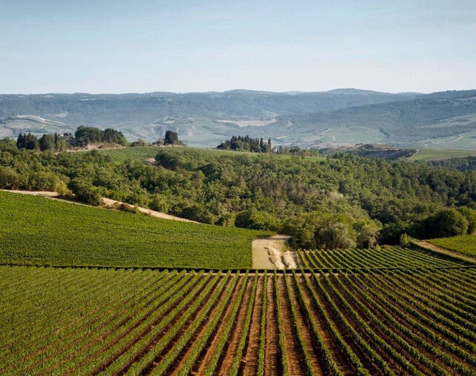 Castello della Sala (Antinori)