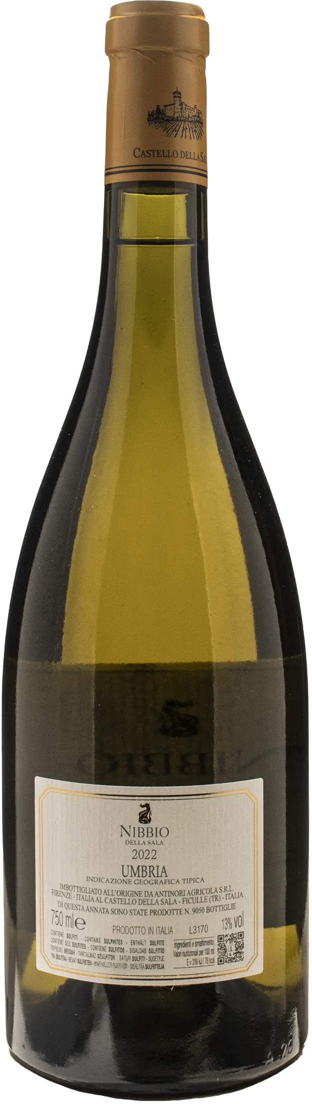 Castello della Sala Nibbio della Sala 2022