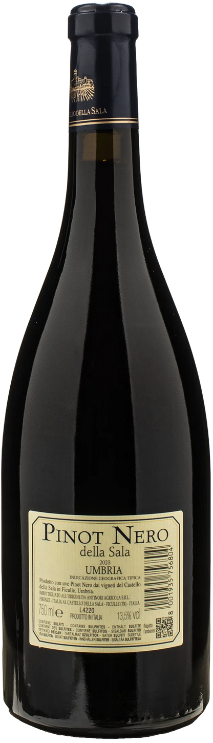 Castello della Sala Pinot Nero della Sala 2023