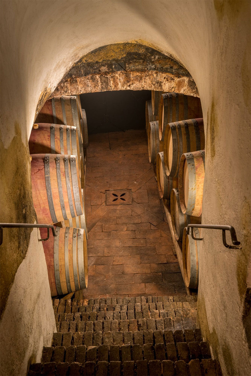 Castello di Bolgheri