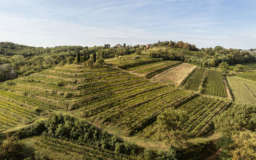 Castello di Buttrio