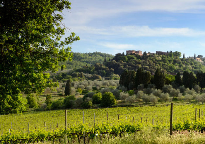 Castello di Farnetella