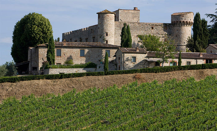 Castello di Meleto