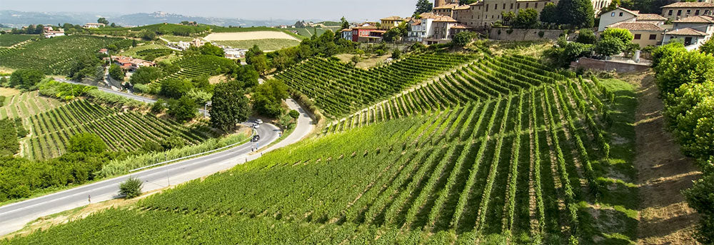 Castello di Neive