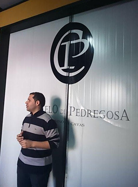 Castelo de Pedregosa