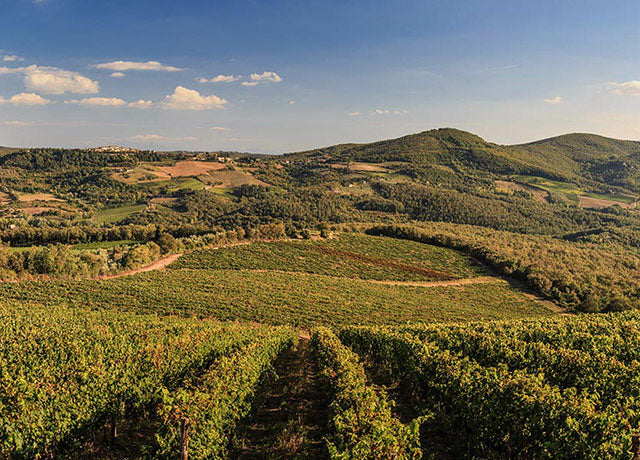 Castelvecchi