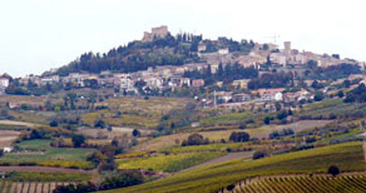Celli Azienda Vinicola