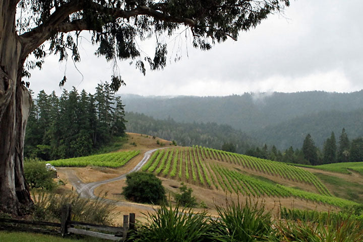 Ceritas Wines