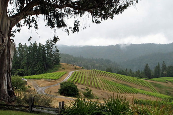 Ceritas Wines