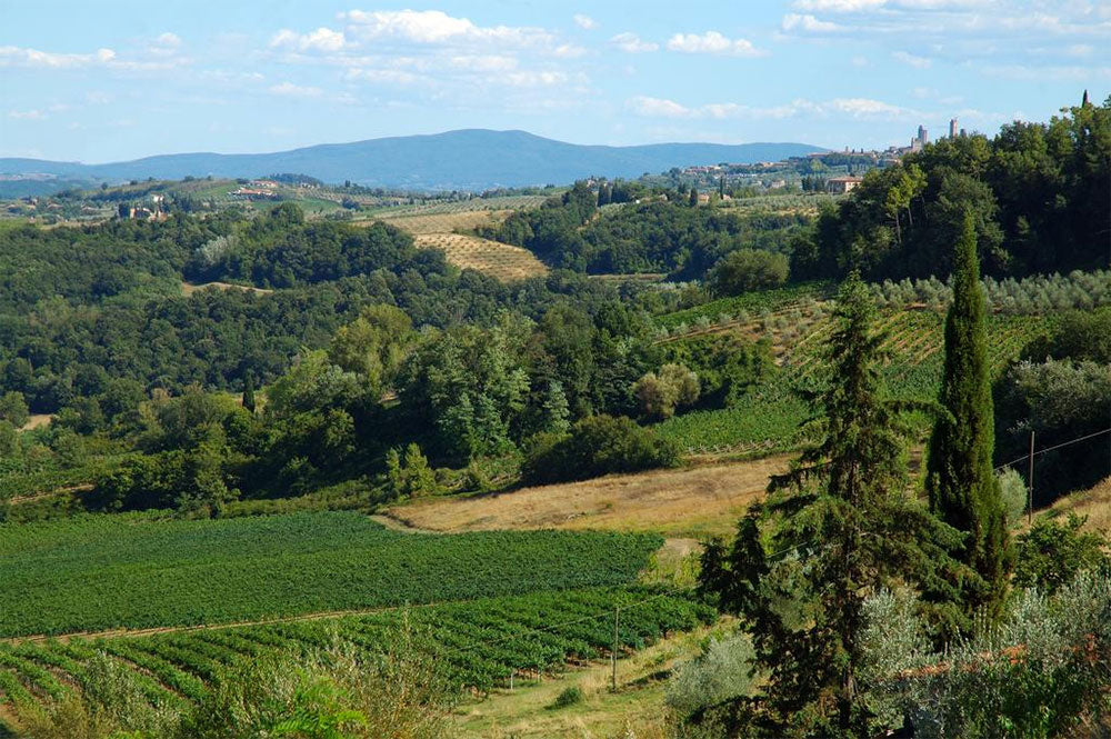 Cesani