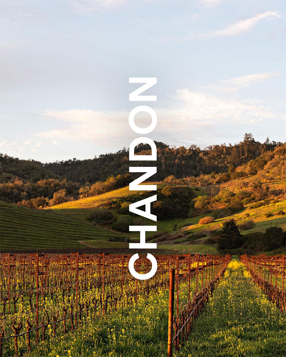 Chandon