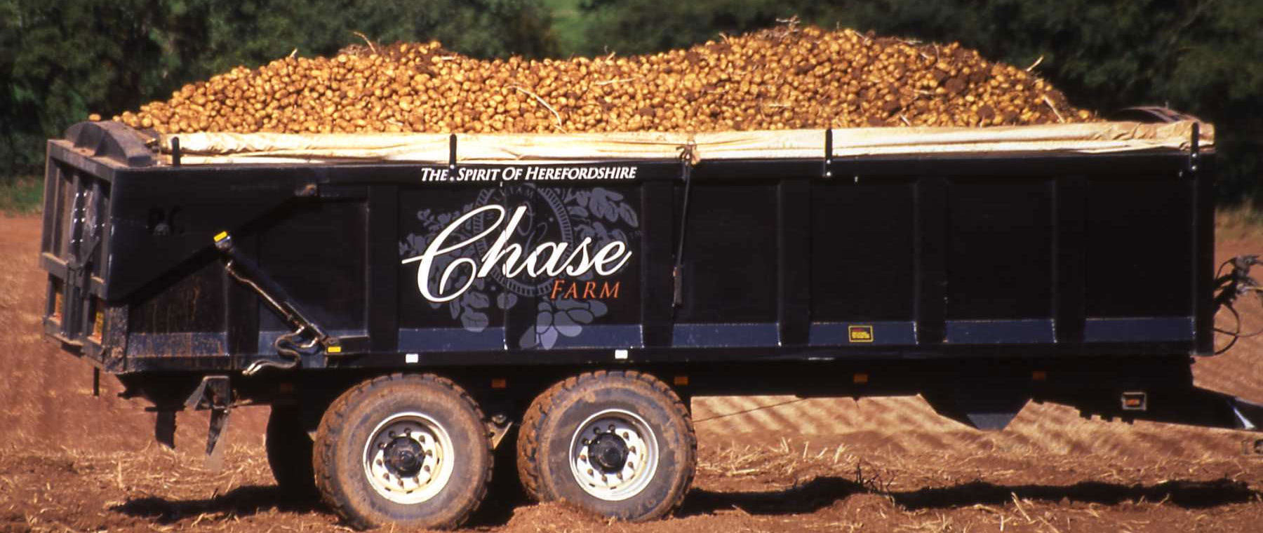 Chase Distillery
