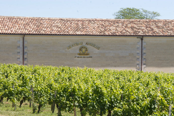Chateau Angelus