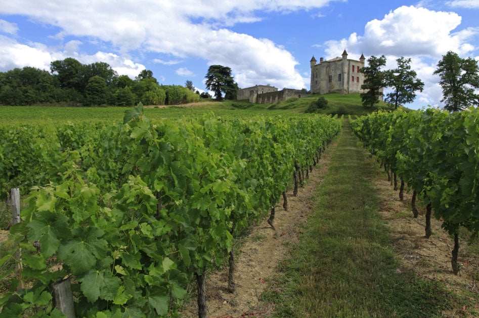 Chateau Au Vignoble