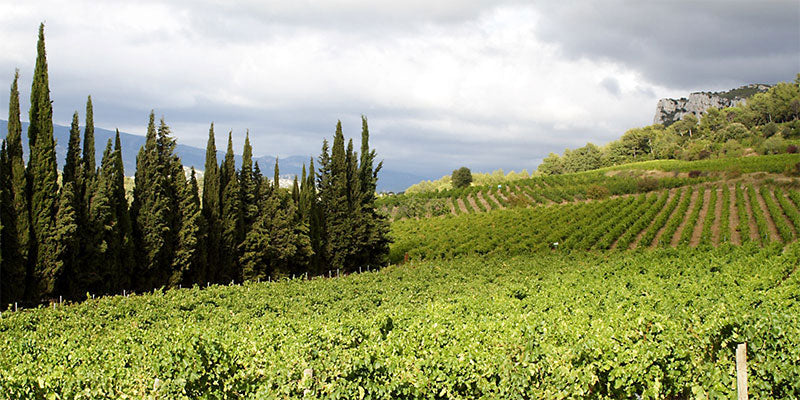 Chateau Barbanau