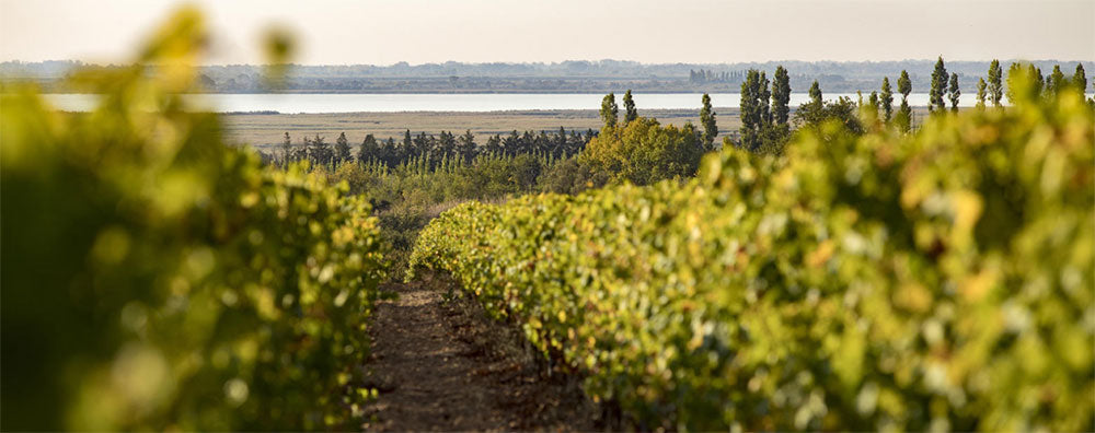 Chateau Beaubois