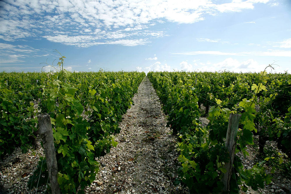 Chateau Brane - Cantenac
