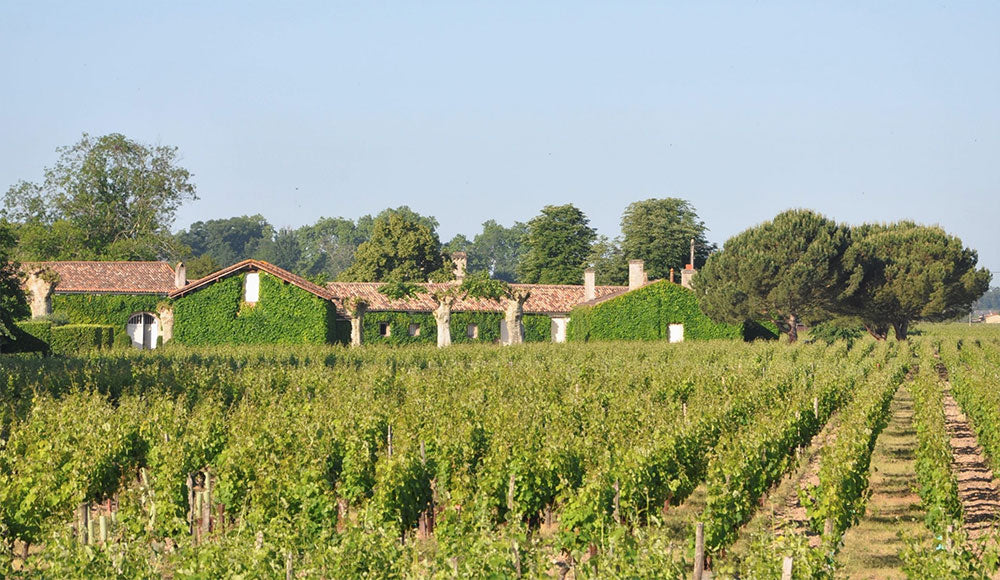 Chateau Broustet