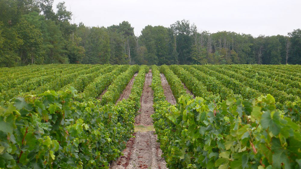 Chateau Brown