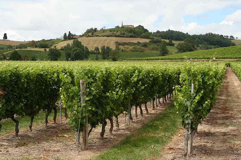 Chateau Clement Termes